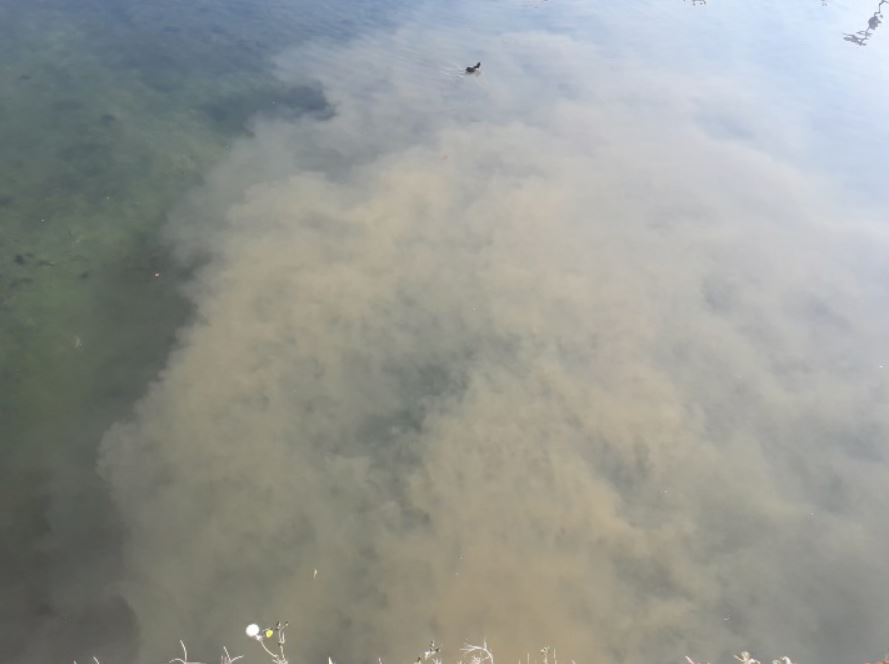 Arona in azione: “Il lago? Siamo sulla strada giusta, ma c’è ancora molto da fare”