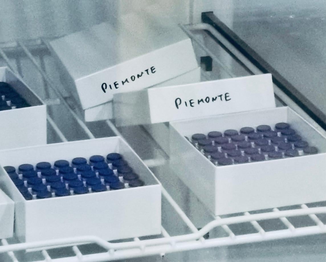 Oggi a Novara il Vaccine day: le prime dosi contro il Sars-Cov-2