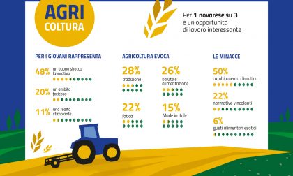 Novara torna all'agricoltura: per un cittadino su tre i campi sono un'opportunità