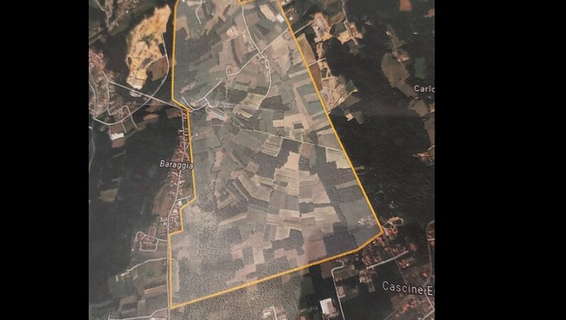 Muro elettrico di 7 chilometri per proteggere Maggiora dai cinghiali