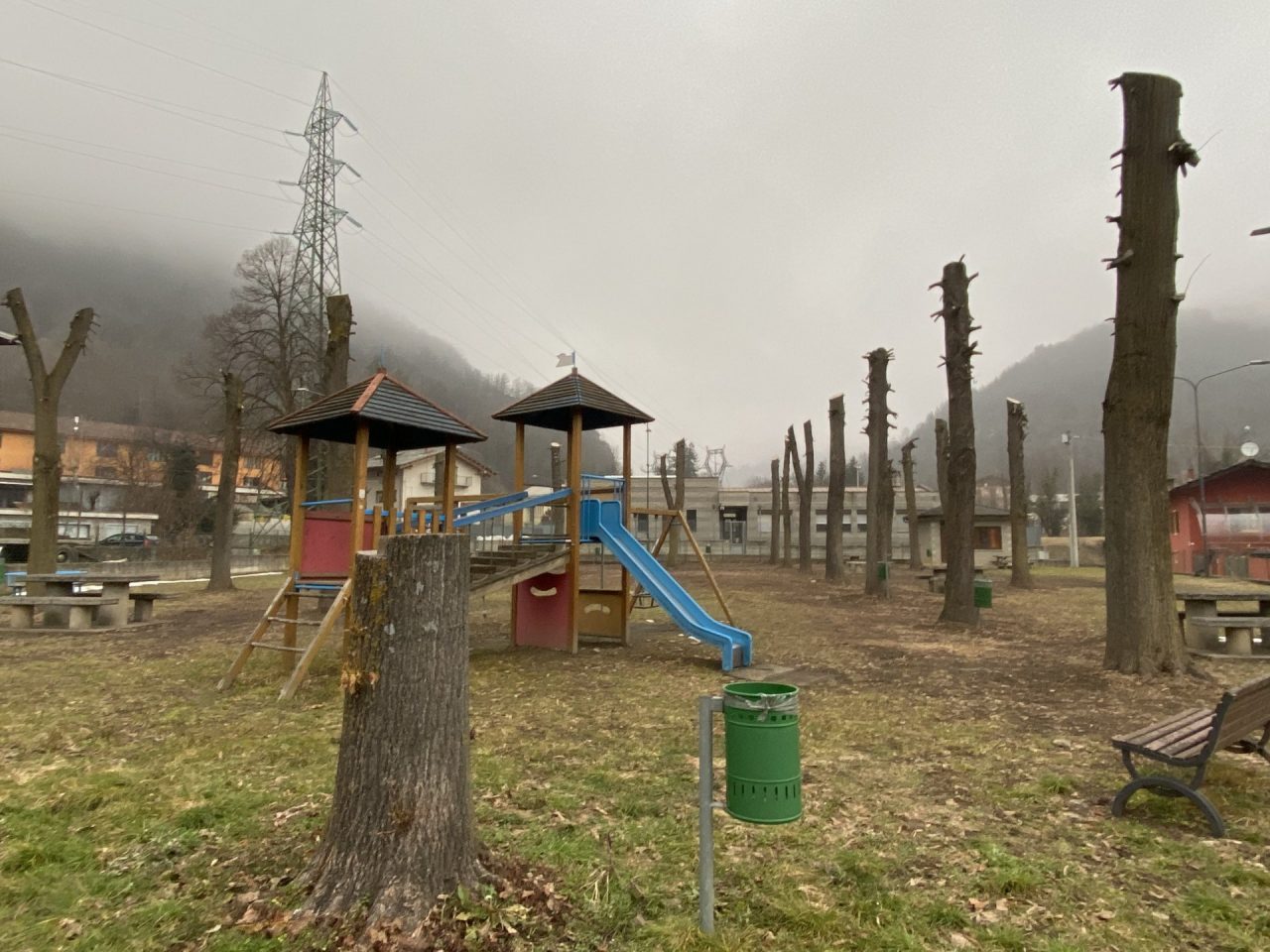 Potature alberi: Legambiente dice no alle “capitozzature”