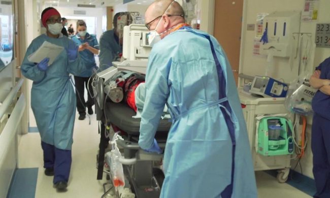 Covid, variante inglese: due casi a Biella