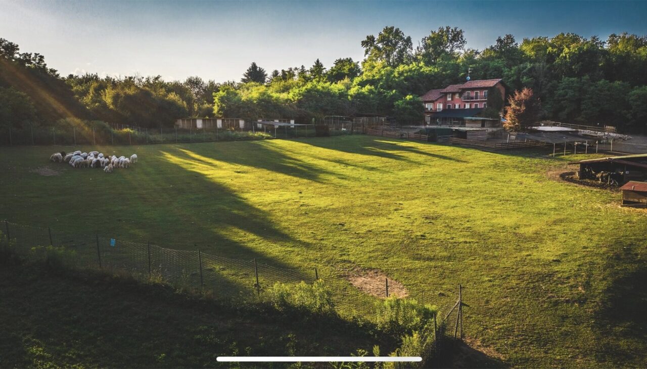 Rifugio Miletta: “Abbiamo bisogno di donatori altrimenti non sappiamo come fare ad andare avanti”