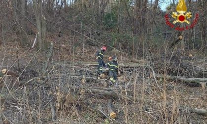Nebbiuno uomo travolto dall’albero che stava tagliando: portato a Novara