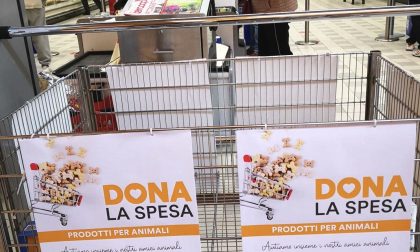 Novara “Dona la Spesa” per aiutare le famiglie in difficoltà che posseggono un animale domestico