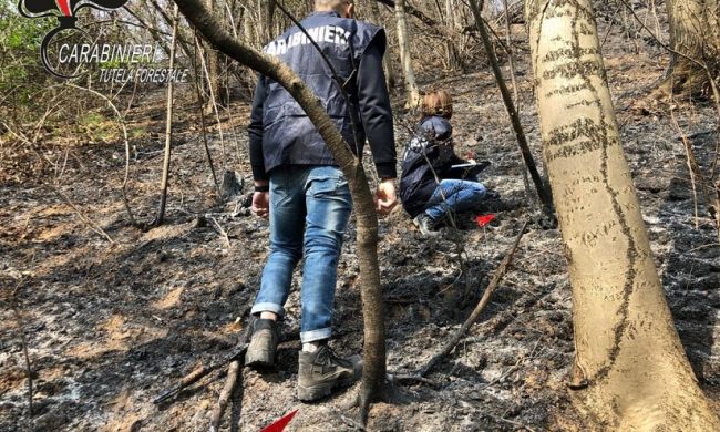 Operatore volontario antincendi appiccava i fuochi di proposito: condannato