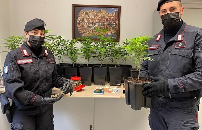 Traffico internazionale di droga, lo stupefacente prodotto direttamente in casa