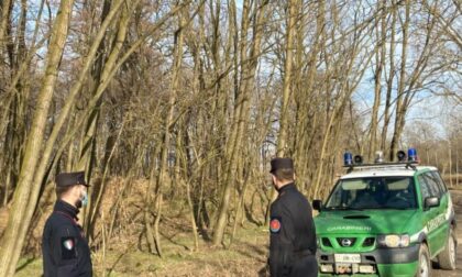 Incendio Bosco Solivo: il Codacons presenta un esposto