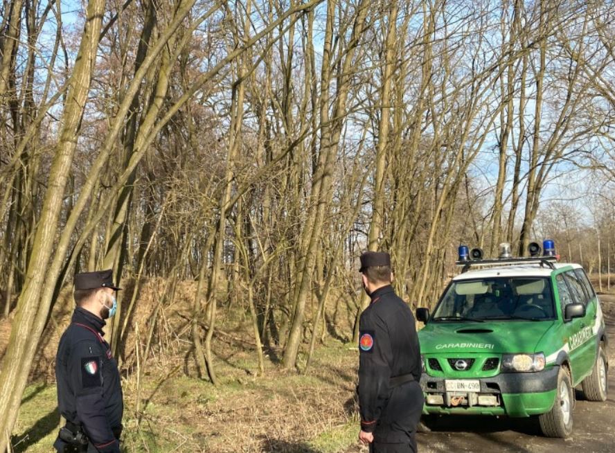 Incendio Bosco Solivo: il Codacons presenta un esposto
