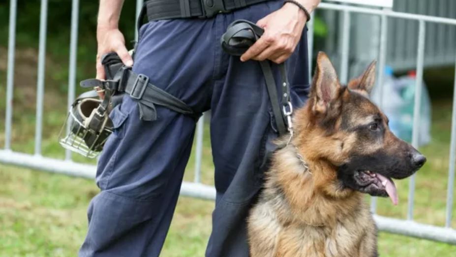 Blitz con i cani antidroga a Trecate: scovata cocaina, arrestato 57enne