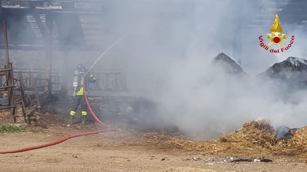 Incendio in un’azienda agricola di Invorio