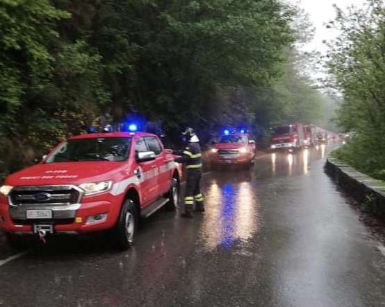 Albero cade sulla Provinciale 46 a Pella: intervento dei vigili del fuoco