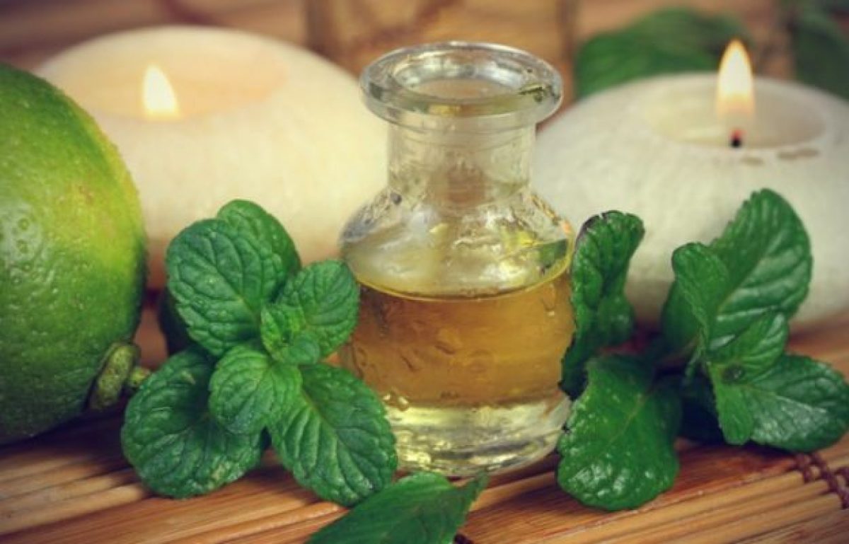 Insetti, come tenerli lontani in modo naturale?