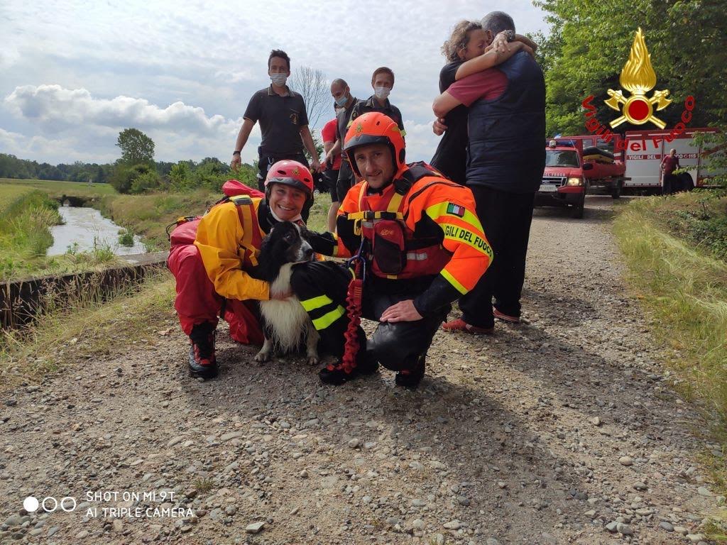 Galliate cagnolino resta incastrato in un canale: salvato dai vigili del fuoco