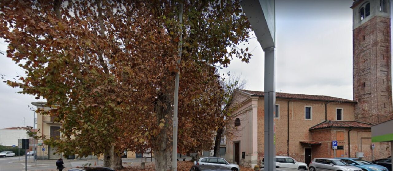 Trecate alberi donati alla comunità