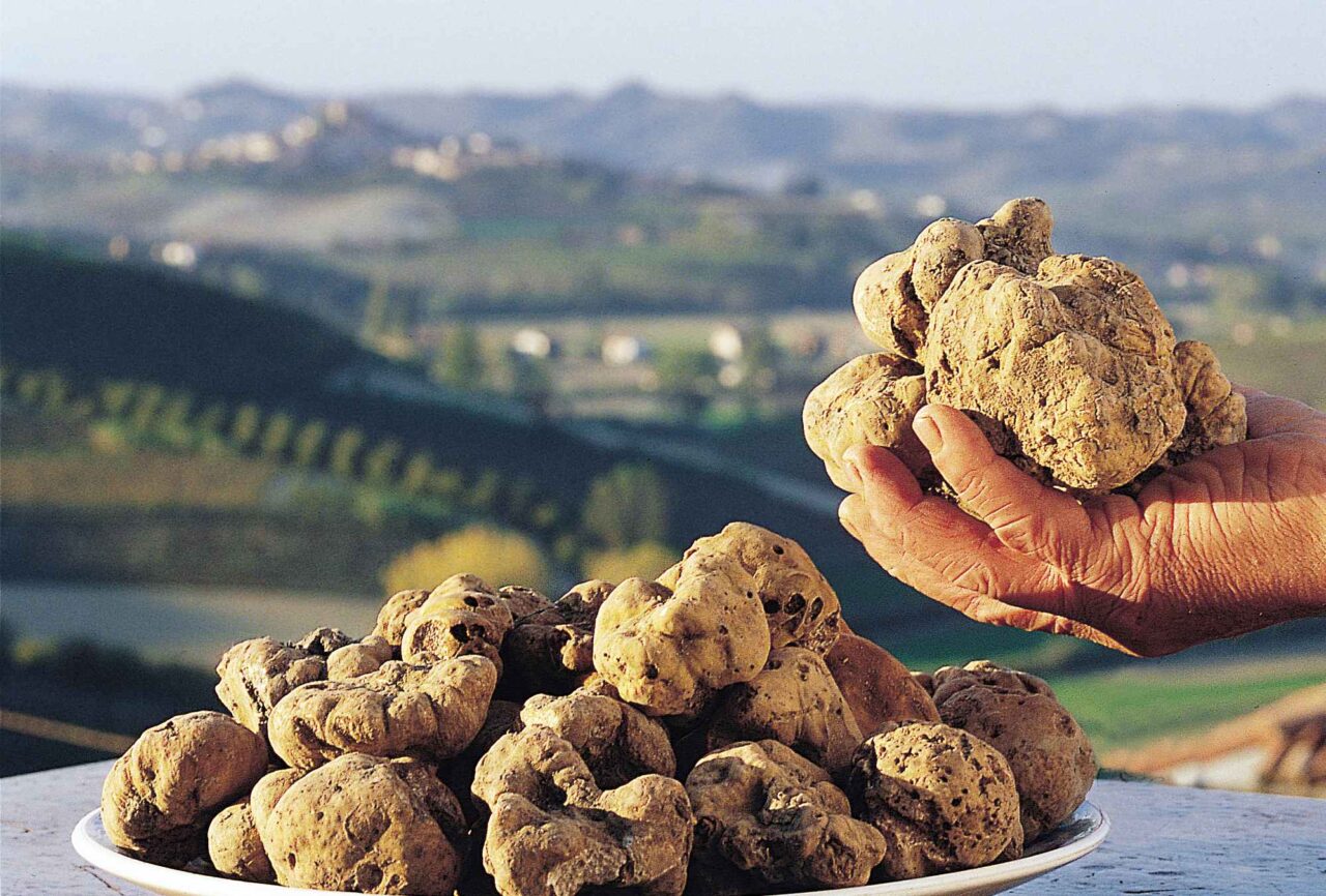 Al via la stagione del tartufo: oltre 20 fiere e un calendario di eventi per valorizzare l’eccellenza gastronomica