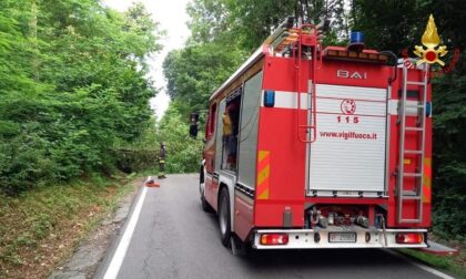 Cade una pianta sulla sua auto: soccorso a Borgo Ticino