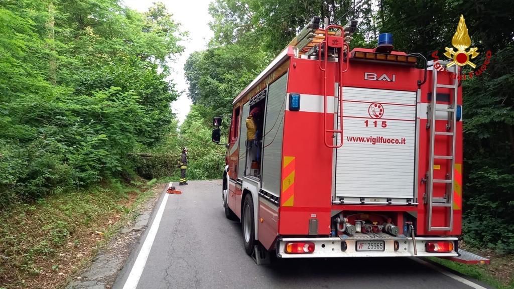 Cade una pianta sulla sua auto: soccorso a Borgo Ticino
