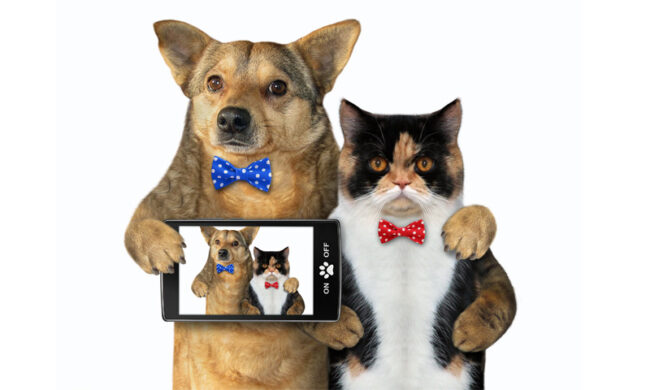 In regalo con i nostri settimanali l’album di disegni sugli animali