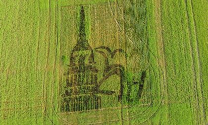 La cupola di San Gaudenzio realizzata nelle risaie di Borgolavezzaro