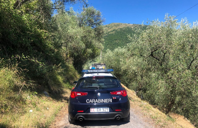 Accende sterpaglie in campagna: donna muore avvolta dalle fiamme