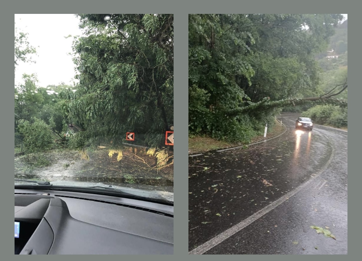 Nuova ondata di maltempo: alberi e tralicci caduti, strade interrotte