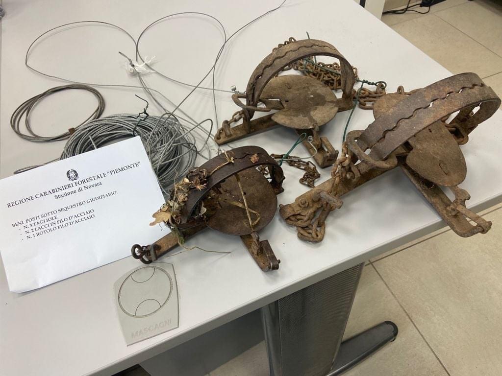 Trovato il bracconiere che posizionava tagliole a Briona: rischia multa salatissima