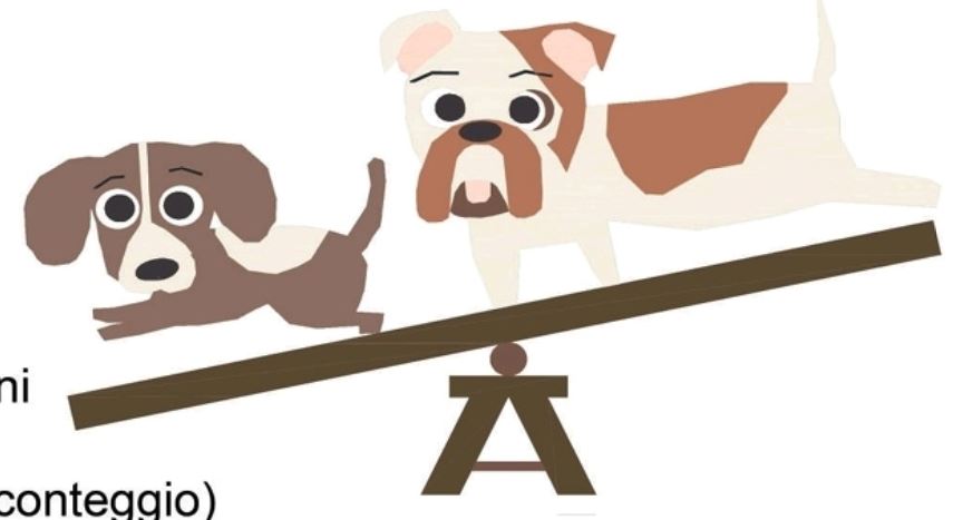 Area sgambamento attrezzata verrà inaugurata domani a Borgo Ticino