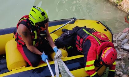 Recuperato cadavere nel canale Cavour