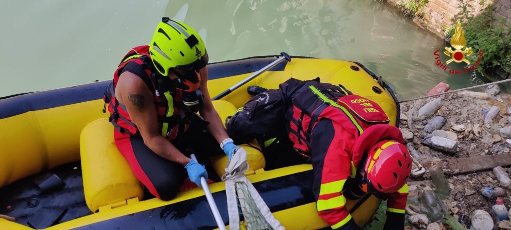 Recuperato cadavere nel canale Cavour