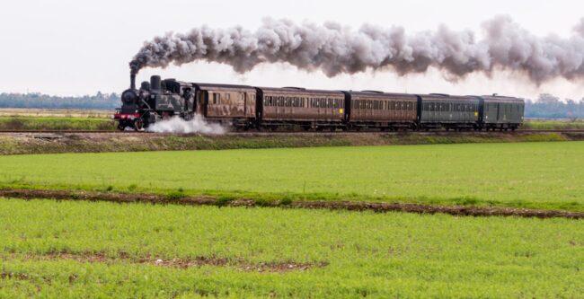 Cosa fare a Novara e provincia (e Vco): gli eventi del weekend 11-12 settembre