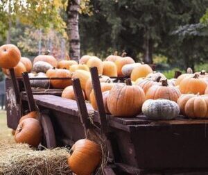 Primo week-end di ottobre, appuntamento al Villaggio delle Zucche per festeggiare l’autunno