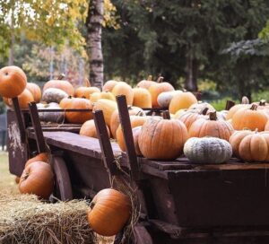 Primo week-end di ottobre, appuntamento al Villaggio delle Zucche per festeggiare l’autunno