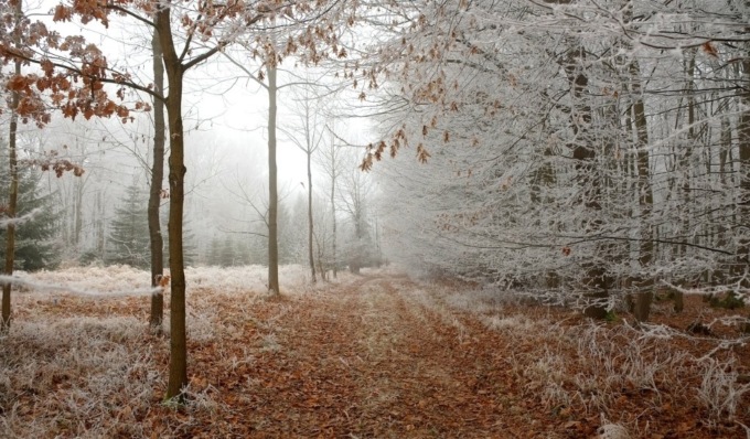 Svolta autunnale: in arrivo tanta pioggia e neve sulle Alpi