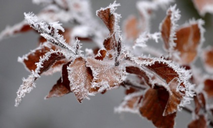 E' davvero l'autunno più freddo degli ultimi 30 anni al Nord? La risposta di 3bmeteo.com