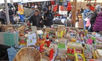 Cosa fare a Novara e provincia (e Vco) nel weekend: gli eventi del weekend 13 e 14 novembre