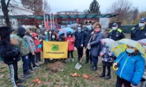 Festa degli alberi: all'istituto Bottacchi anche i carabinieri forestali