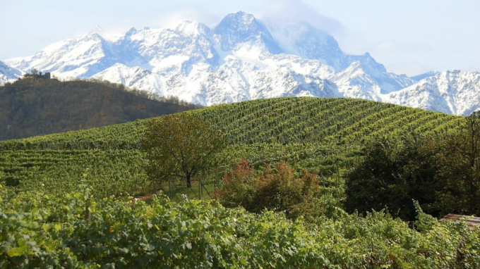 Dalla vendemmia 2021 in Alto Piemonte cauti segnali positivi