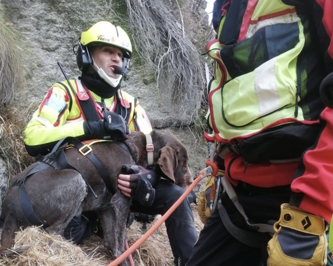 Cane bloccato sul Mottarone: intervento del Soccorso Alpino e dei Vigili del Fuoco