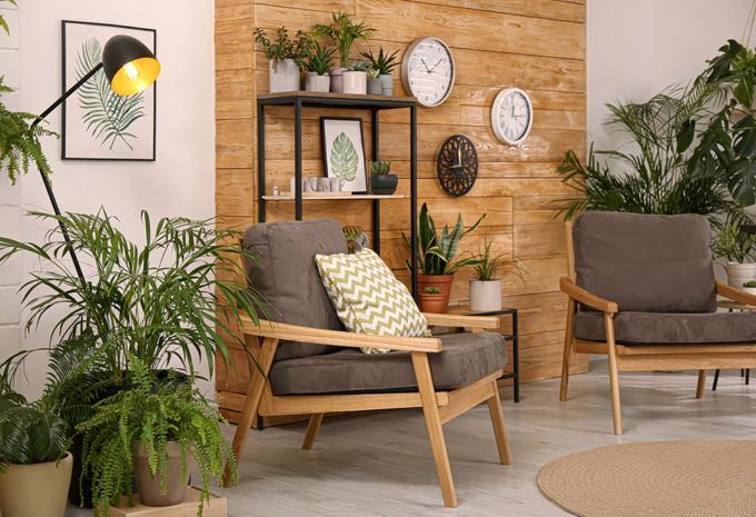 Natural Trend: come arredare la propria casa con elementi della natura