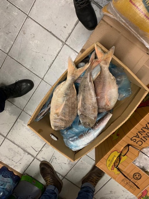 Novara market etnico di corso Milano sanzionato: pesce in pessime condizioni di conservazione