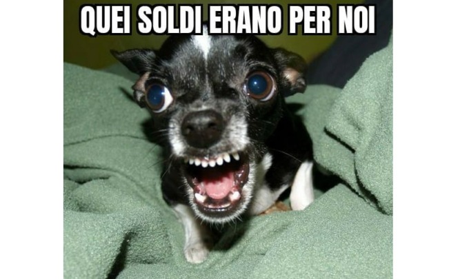 Rubati salvadanai all’Associazione Zoofila Borgo Ticino