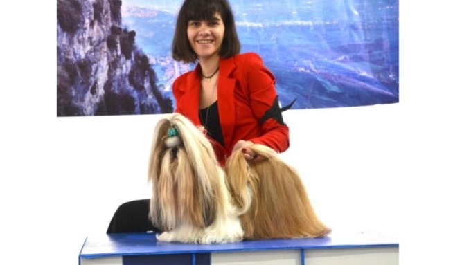 Vive in Piemonte uno dei cani più belli d’Italia