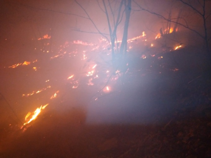 Bosco in fiamme ad Armeno: 21 volontari Aib e 7 automezzi per domare le fiamme