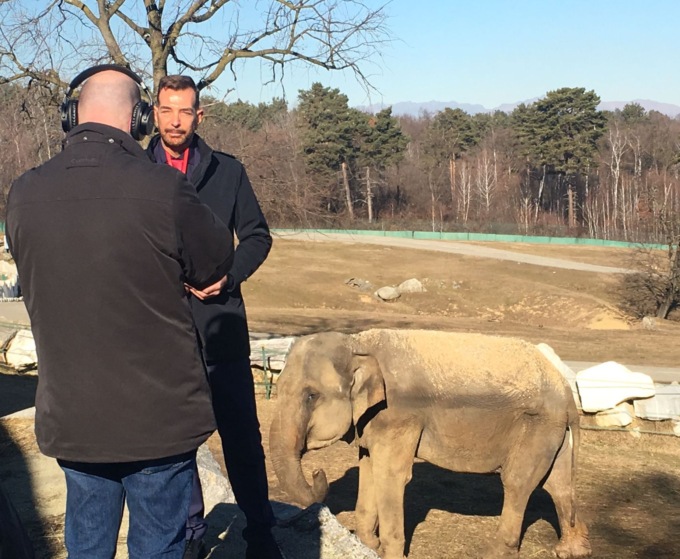 SOS Safari Park: “Aiutateci adottando i nostri animali”