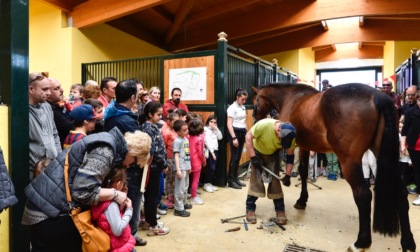 Open day allo Sporting Club Monterosa Novara
