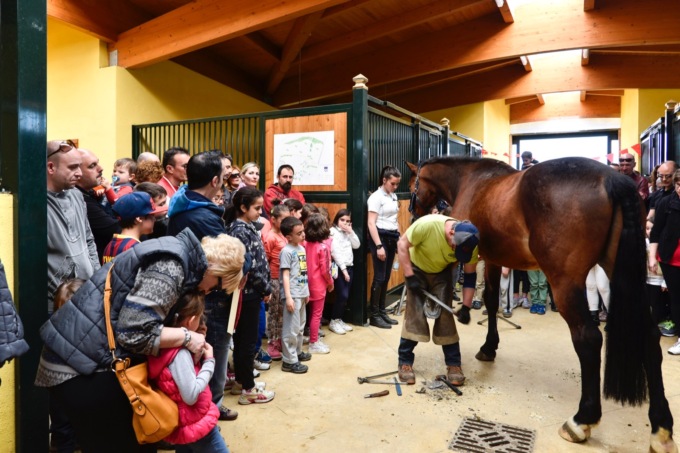 Open day allo Sporting Club Monterosa Novara