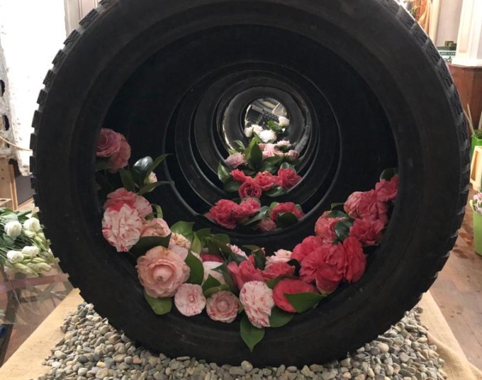 A Gozzano torna il primo fine settimana di aprile la mostra della camelia