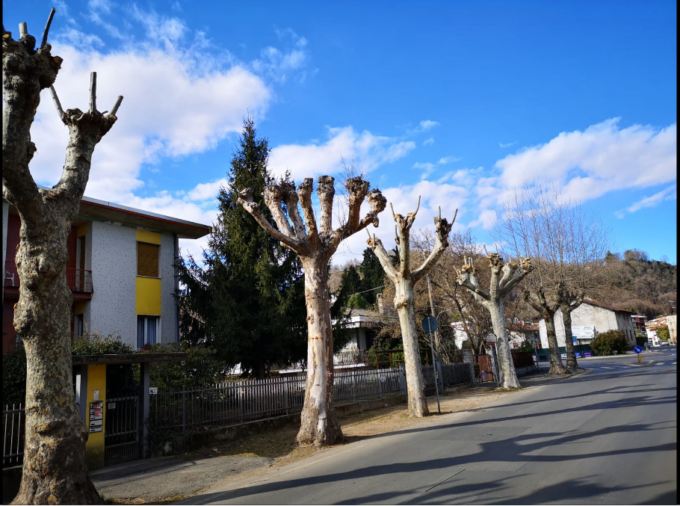 Potature ad Arona: la lettera di protesta di una cittadina