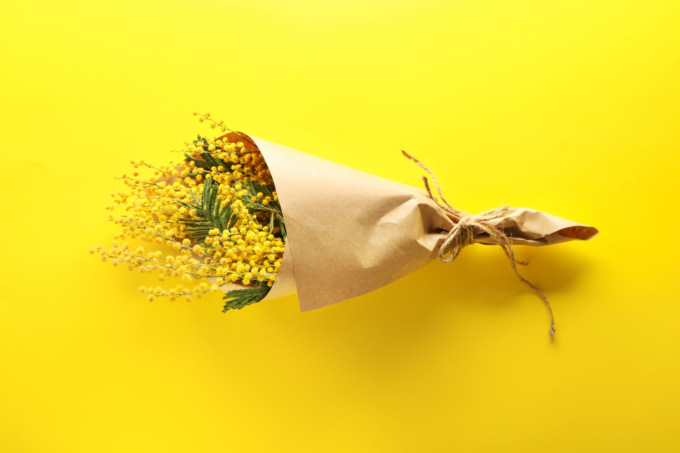 8 marzo: mimose business da 12 miliardi di euro. Prezzi +20%